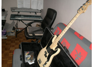 Fender 60th Anniversary Precision Bass 2011