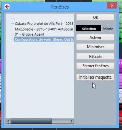 Cubase 10 - Configurations de voies bugguée3.JPG Cubase 10 - Configurations de voies bugguée3.JPG