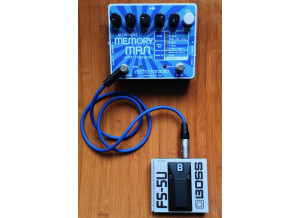 Electro-Harmonix Stereo Memory Man with Hazarai (58063)