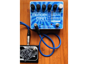 Electro-Harmonix Stereo Memory Man with Hazarai (97067)