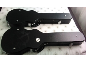 Epiphone 940-ENLPCS - Les Paul Case (12144)