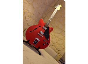 Fender Special Edition Coronado Guitar (87673)