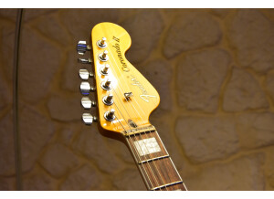Fender Special Edition Coronado Guitar (12965)