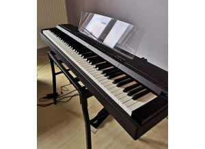 Yamaha P-255 (15459)