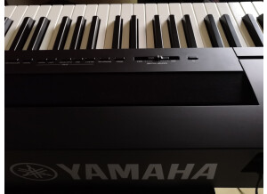 Yamaha P-255 (7219)