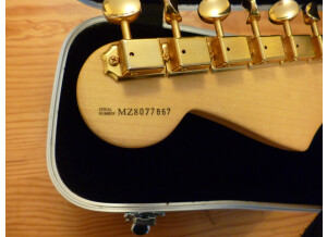 Fender Deluxe Players Strat (3109)