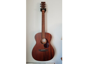 Sigma 000M-15 (51394)