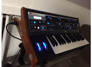 Moog Music Little Phatty Tribute Edition (80405)