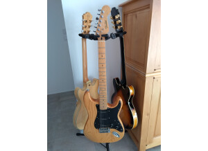 Fender Special Edition Lite Ash Stratocaster (70870)