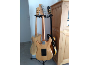 Fender Special Edition Lite Ash Stratocaster (87794)