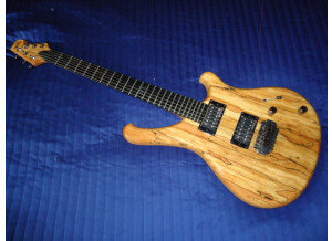 WSL Guitars The Beauty (38081)