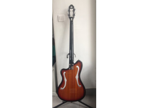 Eastwood Guitars EEB-1 Bass (24440)