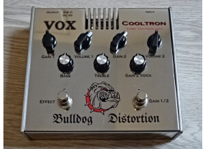 Vox bulldog 1.JPG