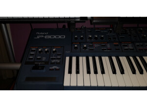 Roland JP-8000 (44705)