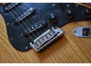Fender Special Edition Lite Ash Stratocaster (34903)