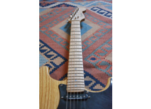 Fender Special Edition Lite Ash Stratocaster (5479)