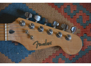 Fender Special Edition Lite Ash Stratocaster (78967)
