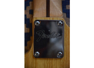 Fender Special Edition Lite Ash Stratocaster (21451)