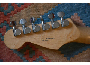 Fender Special Edition Lite Ash Stratocaster (89647)