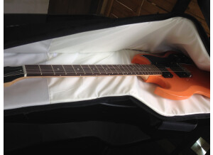 Gibson SG Fusion (49816)