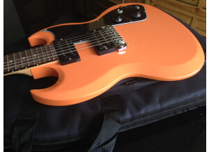 Gibson SG Fusion (3921)