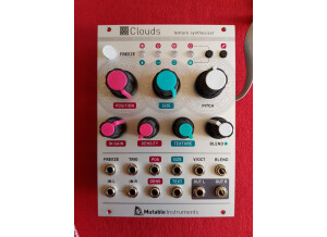 Mutable Instruments Clouds (23745)