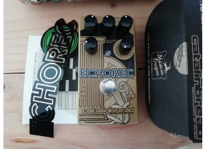 Catalinbread Echorec (2469)