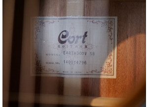 Cort Earth300V (52763)