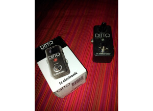 TC Electronic Ditto Looper (26510)