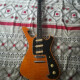 FRM250 Paul Gilbert Signature FRM250 Paul Gilbert Signature
