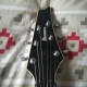 FRM250 Paul Gilbert Signature FRM250 Paul Gilbert Signature