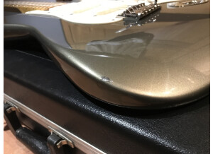 Fender Eric Clapton Signature Stratocaster (74021)