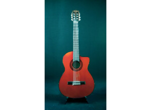 Fender CG-4CE (16079)