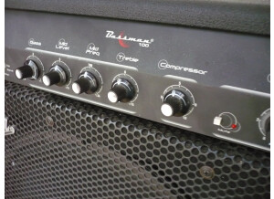 Fender Bassman 100 (62290)