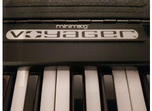 Moog Music Minimoog Voyager Electric Blue (1178)