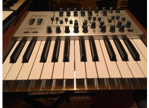 Arturia MiniBrute SE (4451)