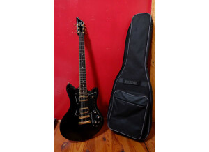 Guitare021.JPG