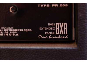 Fender BXR 100 (91667)