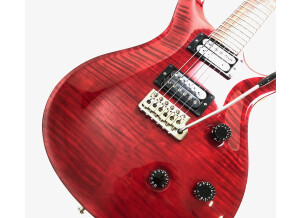 PRS Custom 24 Birds 10-Top (10237)