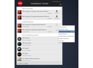 EastWest Symphonic Orchestra Platinum Plus Complete (12308)