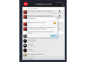 EastWest Symphonic Orchestra Platinum Plus Complete (23490)