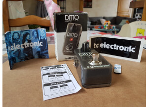TC Electronic Ditto Looper (16289)