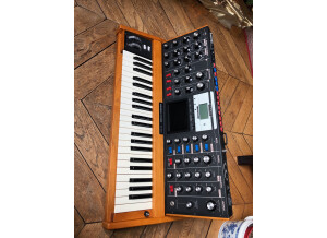 Moog Music Minimoog Voyager Performer Edition (51105)