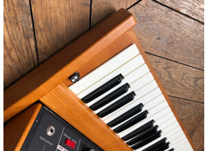 Moog Music Minimoog Voyager Performer Edition (70892)