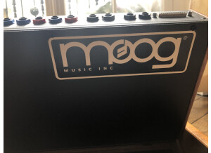 Moog Music Minimoog Voyager Performer Edition (65711)