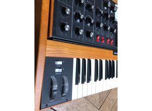 Moog Music Minimoog Voyager Performer Edition (29312)