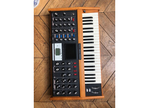 Moog Music Minimoog Voyager Performer Edition (96741)