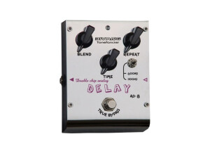 Biyang DELAY AD-8