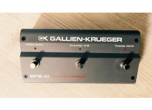 Gallien Krueger 2001RB