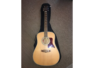 Tanglewood TW15 NS (92805)